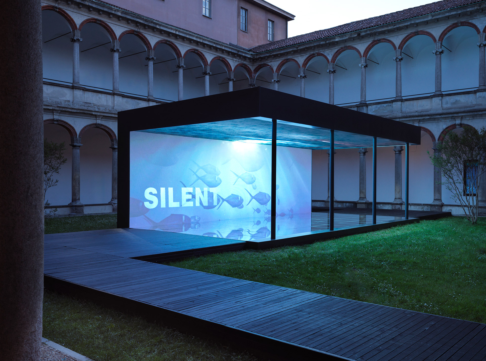 Foto_12_2767_3000px (1)